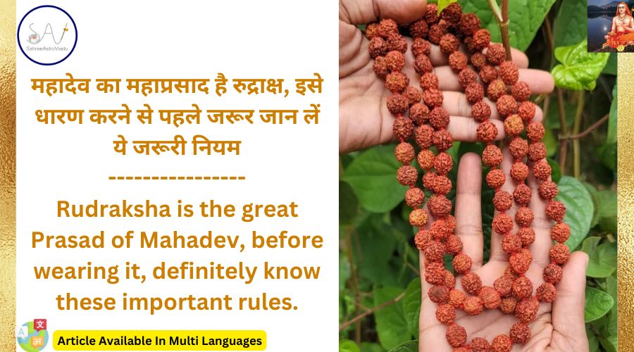 महादेव का महाप्रसाद है रुद्राक्ष, इसे धारण करने से पहले जरूर जान लें ये जरूरी नियम