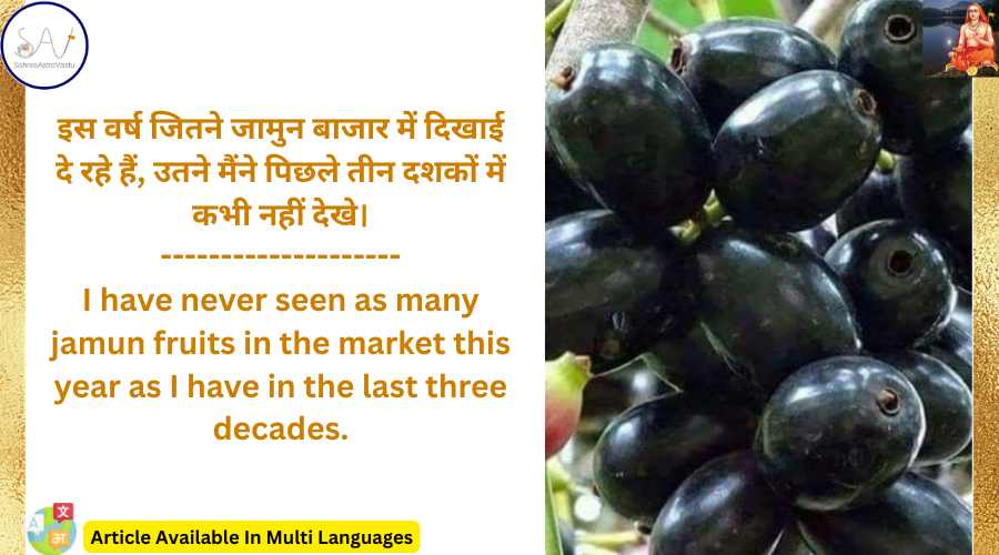 इस वर्ष जितने जामुन बाजार में दिखाई दे रहे हैं, उतने मैंने पिछले तीन दशकों में कभी नहीं देखे।